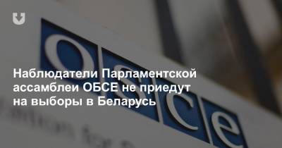 Наблюдатели Парламентской ассамблеи ОБСЕ не приедут на выборы в Беларусь