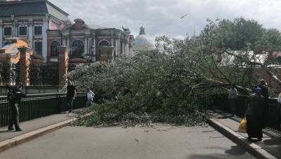 Рухнувшее на мост дерево преградило вход в Александро-Невскую лавру