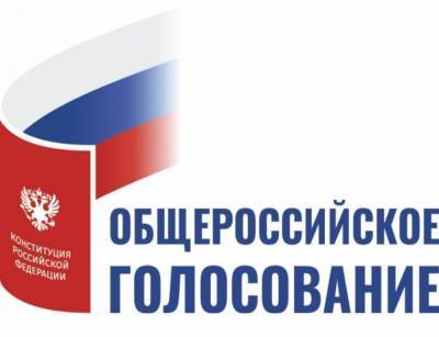 На пунктах для голосования в Воронежской области работало 800 наблюдателей