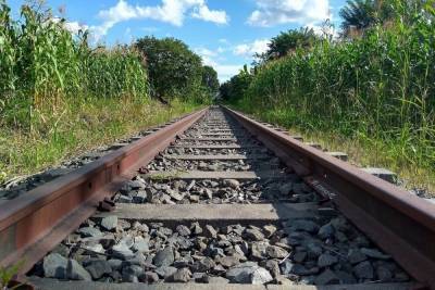 Товарный поезд насмерть сбил мужчину в Ростовской области