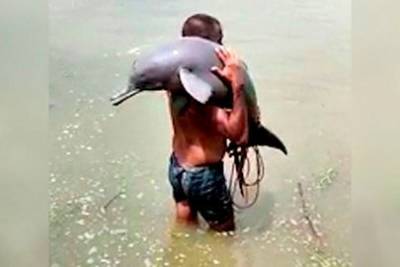 В Сети появилось фото спасённого рыбаком редкого гангского дельфина