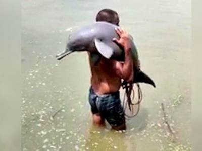 Индийский рыбак спас редкого дельфина