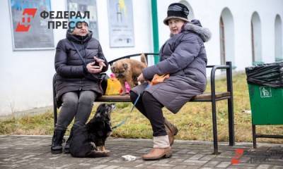Госдума приняла закон «Единой России» о защите пенсионеров и бизнеса от взысканий за долги