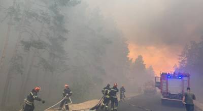 На Луганщине бушуют лесные пожары: людей эвакуируют (фото)