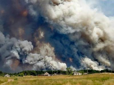 На Луганщине масштабный лесной пожар: местных жителей эвакуируют