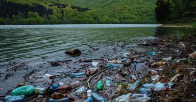В Венгрии Зеленского призвали разобраться с кучей закарпатского мусора на Тисе