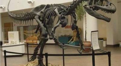 Предки динозавров могли быть очень крошечными