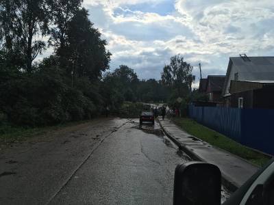 В Смоленской области рухнувшее дерево заблокировало путь автомобилистам