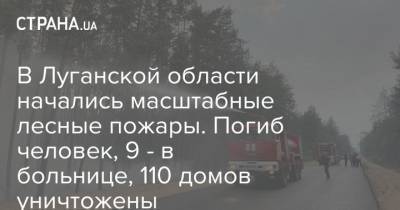 В Луганской области начались масштабные лесные пожары. Погиб человек, 9 - в больнице, 110 домов уничтожены