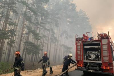 Во время лесных пожаров Луганской области погиб один человек, - ГСЧС