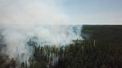 Тушение лесных пожаров в Якутии и Красноярском крае — видео