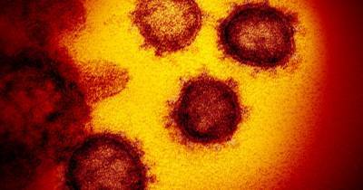 Популярные лекарства от изжоги повышают риск инфицирования новым коронавирусом - исследование