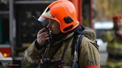 МЧС объявило экстренное предупреждение в Москве из-за урагана