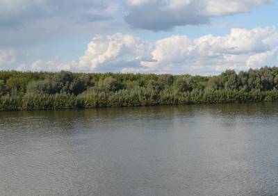 Тело утонувшего в Оке рязанца отнесло течением на 7 км - ya62.ru