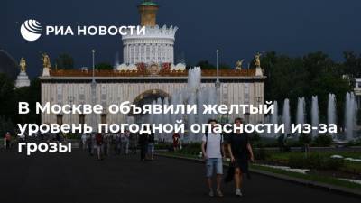 В Москве объявили желтый уровень погодной опасности из-за грозы