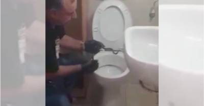 Мужчина в Петах-Тикве не смог сходить в туалет из-за змеи в унитазе- видео