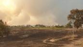 В результате лесных пожаров на Луганщине погибли 4 человека, сгорели более 100 домов