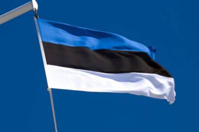 Эстония направила в Украину более 2 тысяч пистолетов для усиления оборонной способности страны