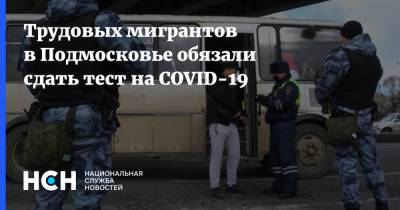 Трудовых мигрантов в Подмосковье обязали сдать тест на COVID-19