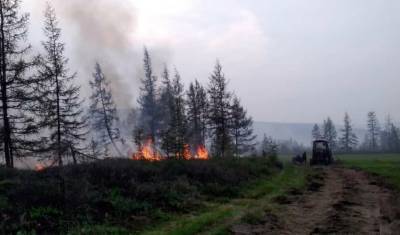 Пожары в Якутии уничтожили 385 тысяч гектаров леса
