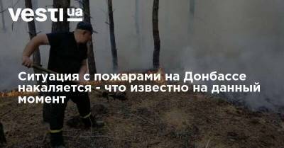 Ситуация с пожарами на Донбассе накаляется - что известно на данный момент