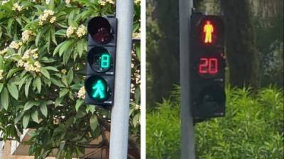 Впервые в Израиле: умные светофоры для пешеходов