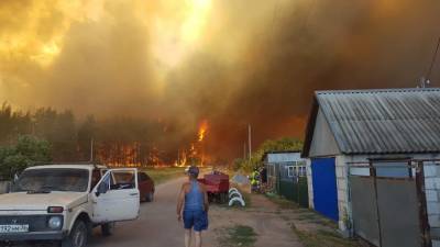 В воронежском селе собираются эвакуировать жителей из-за лесного пожара