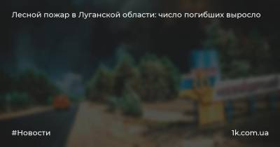 Лесной пожар в Луганской области: число погибших выросло