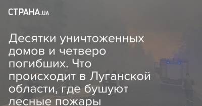 Десятки уничтоженных домов и четверо погибших. Что происходит в Луганской области, где бушуют лесные пожары