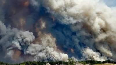 Пожары в Луганской области: количество жертв возросло до пяти