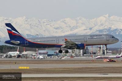 "Аэрофлот" объяснил отказ в перевозе животных рейсом из Шанхая в Москву