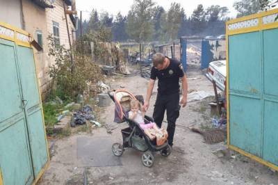 Аваков: К ликвидации пожаров на Луганщине привлекли два самолета ГСЧС и более 1000 сотрудников МВД