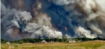 В Луганской области увеличилось число жертв лесных пожаров