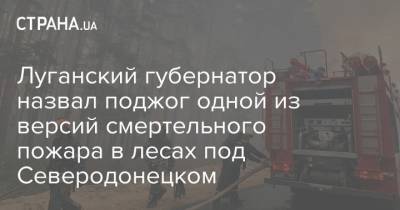 Луганский губернатор назвал поджог одной из версий смертельного пожара в лесах под Северодонецком