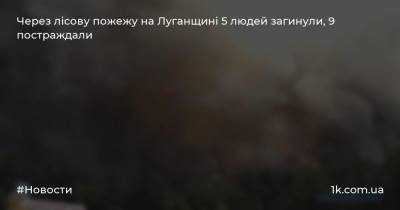 Через лісову пожежу на Луганщині 5 людей загинули, 9 постраждали