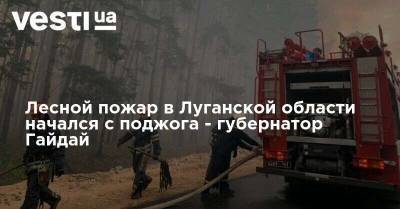 Лесные пожары в Луганской области начались с поджога - губернатор Гайдай