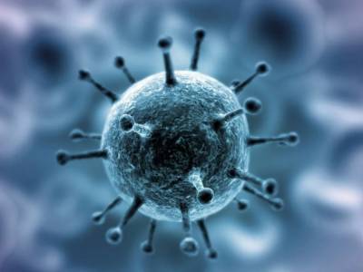 Ученые призвали ВОЗ пересмотреть выводы о распространении коронавирусной инфекции