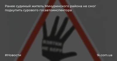 Ранее судимый житель Мичуринского района не смог подкупить сурового госавтоинспектора - 1k.com.ua - Россия - Мичуринск