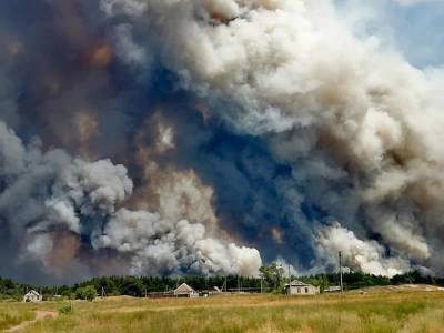 Пожар в Луганской области: к тушению привлекли ВСУ, Нацгвардию и авиацию