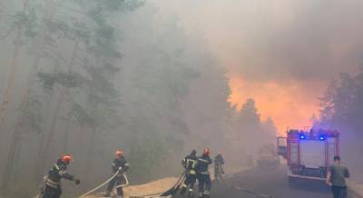 Лесной пожар на Луганщине: количество жертв возросло, к тушению привлечены более тысячи человек