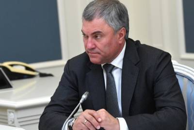 Володин назвал политическим решение ЕСПЧ по делу депутата Рашкина