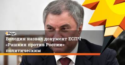 Володин назвал документ ЕСПЧ «Рашкин против России» политическим