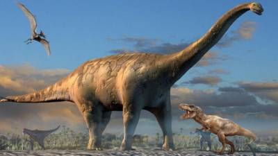На Мадагаскаре обнаружили 10-сантиметрового предка динозавров
