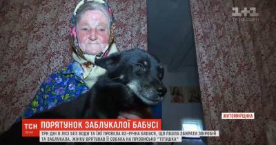В Житомирской области бабушка заблудилась в лесу и провела три дня без еды и воды