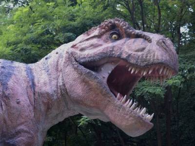 На Мадагаскаре палеонтологи обнаружили миниатюрного предка динозавра