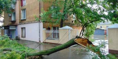 Непогода в Измаиле повалила деревья и затопила улицы