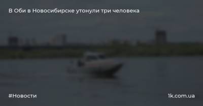 В Оби в Новосибирске утонули три человека