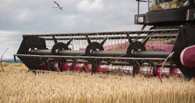 В Беларуси началась уборка зерновых