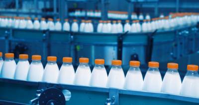 Как частный капитал осваивает переработку молока в Беларуси