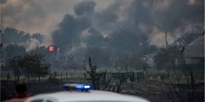 Сгорели десятки домов и тысячи га леса: На Луганщине бушуют лесные пожары